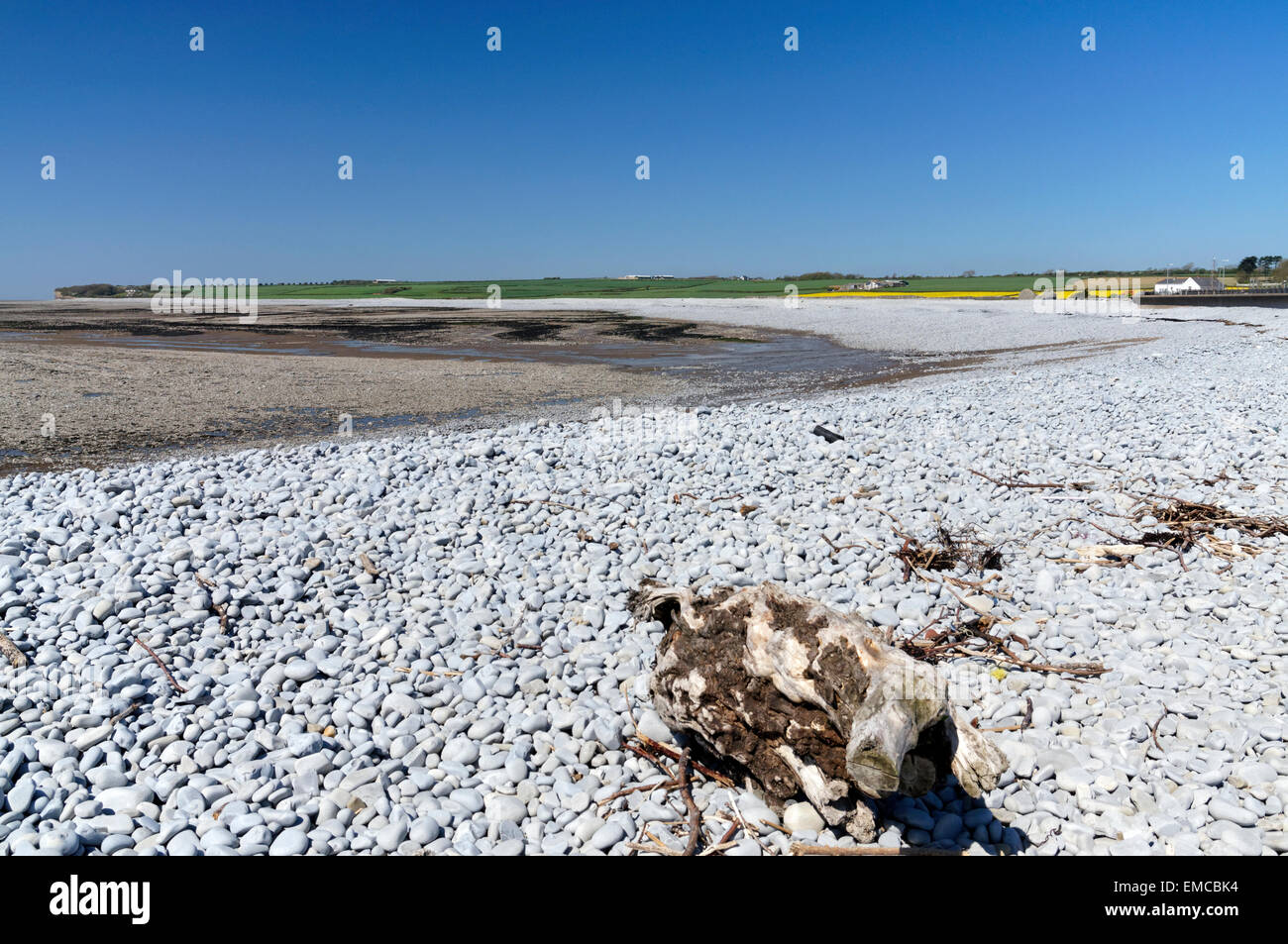 Spiaggia di Aberthaw, Glamorgan Heritage Costa, Vale of Glamorgan, South Wales, Regno Unito. Foto Stock