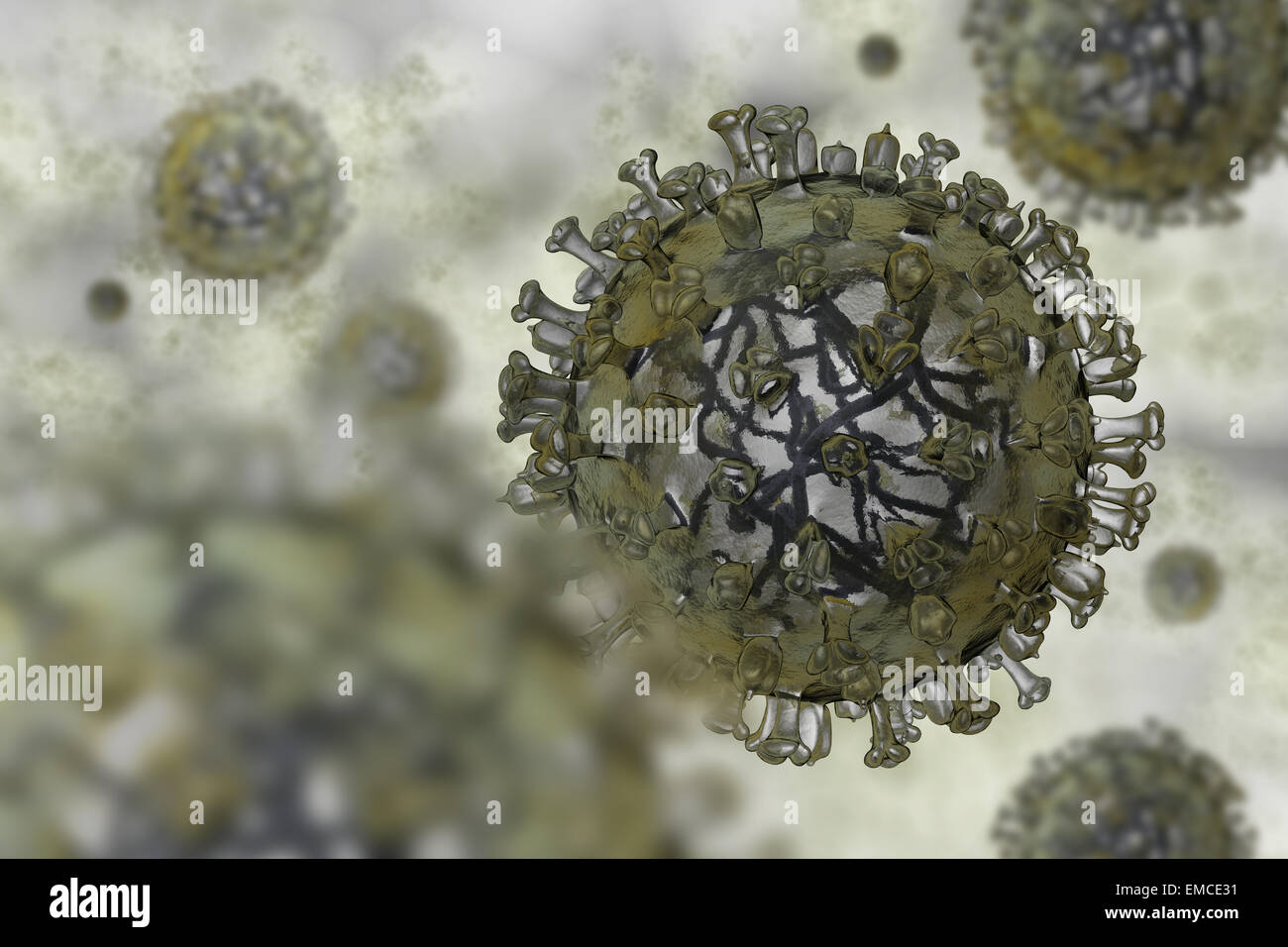 Modello realistico del virus influenzale Foto Stock