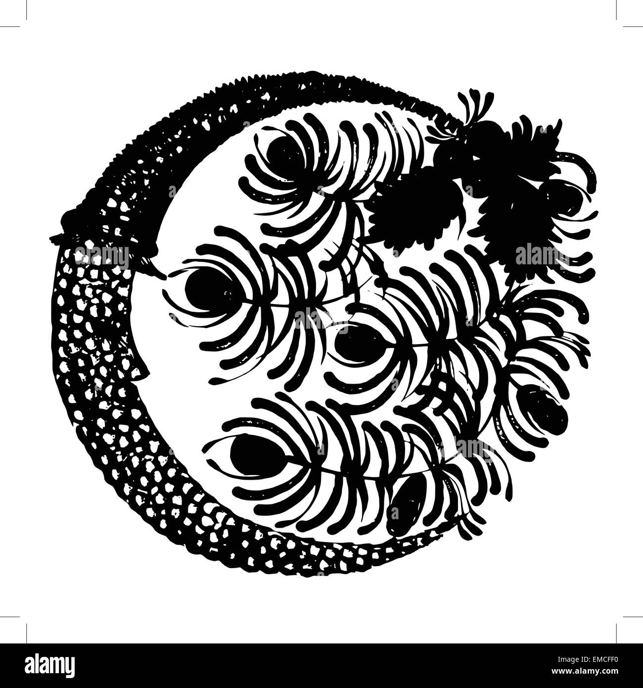 Silhouette decorativo di aghi di pino Illustrazione Vettoriale