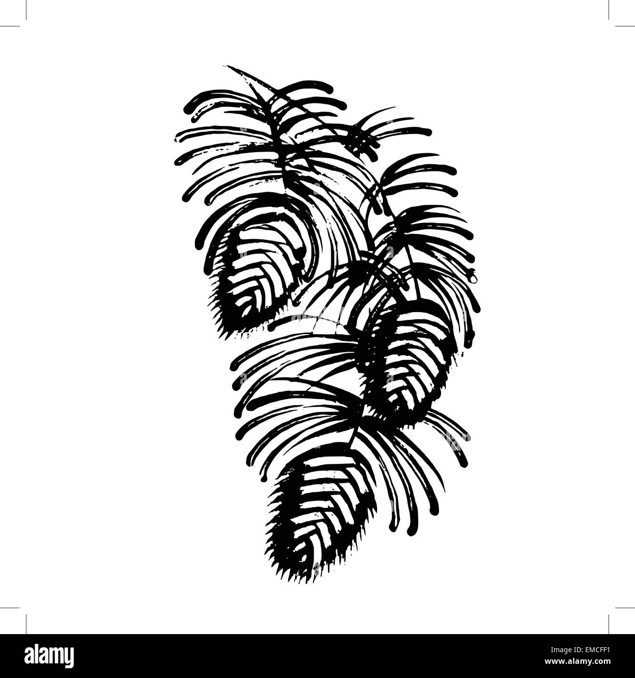 Silhouette decorativo pigna con aghi di pino Illustrazione Vettoriale