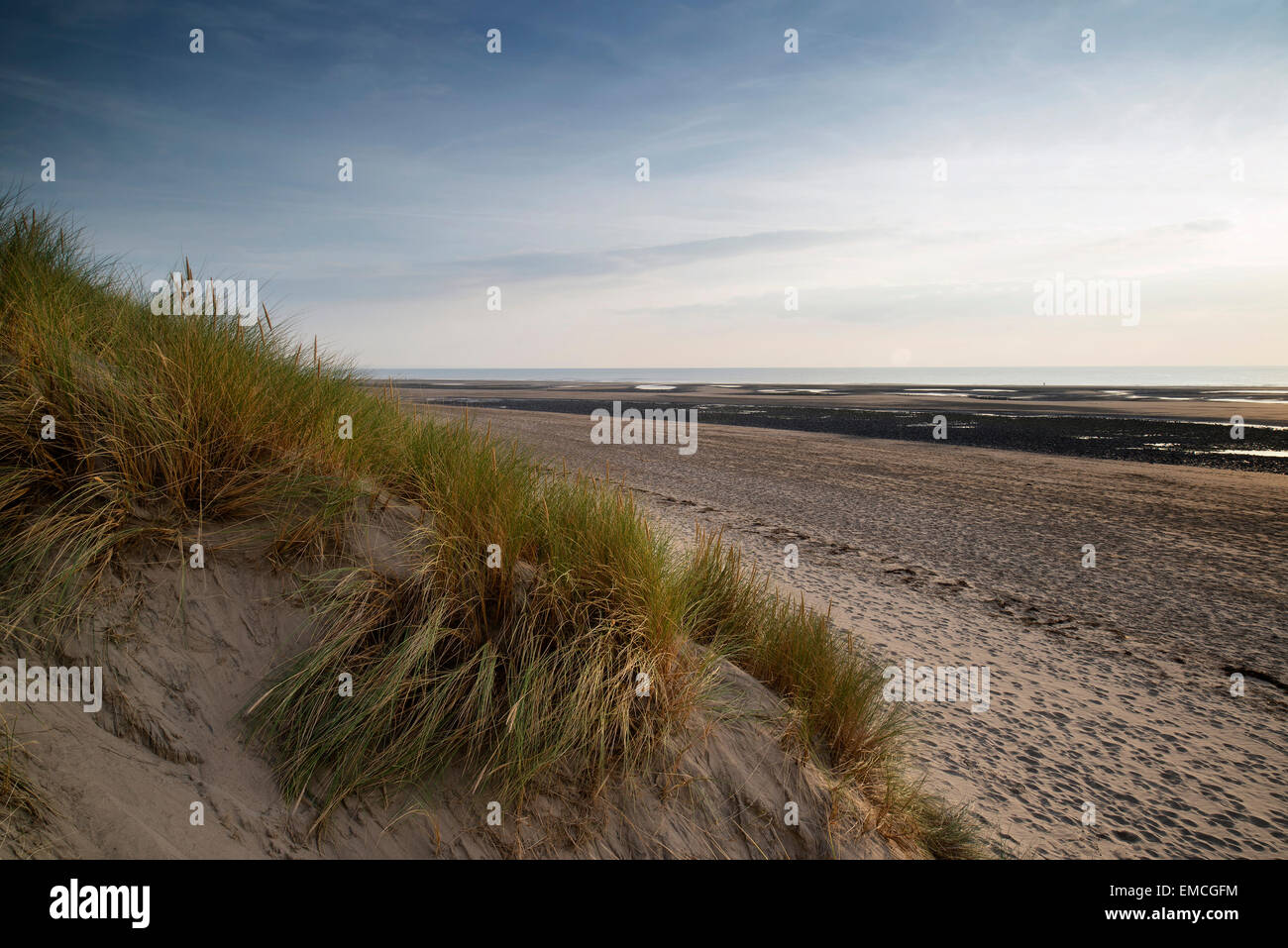 Sera paesaggio estivo oltre grassy dune di sabbia sulla spiaggia Foto Stock