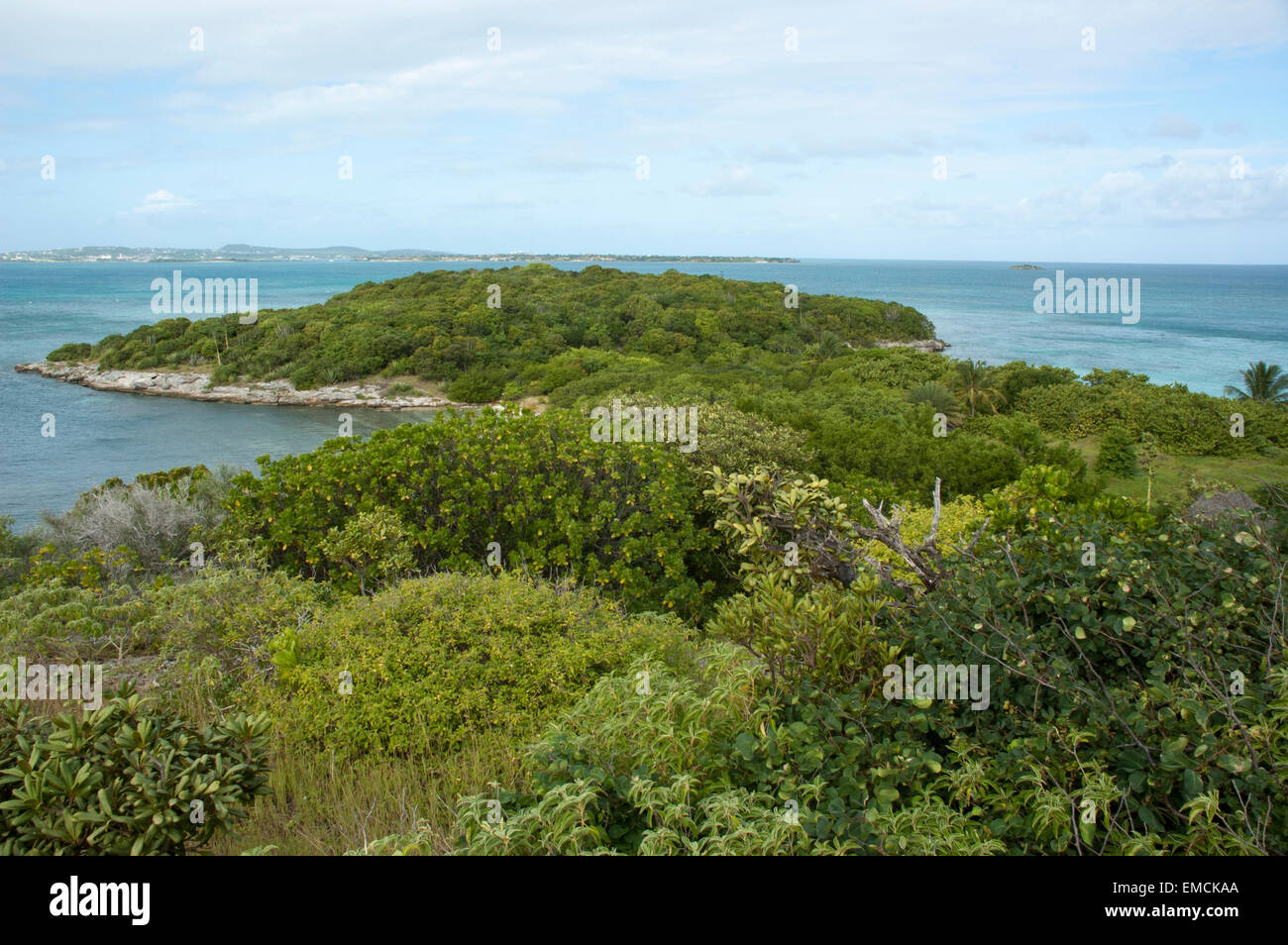 Grande Bird Island è un piccolo isolotto quasi tre chilometri al largo della costa nord-orientale di Antigua nei Caraibi. Foto Stock