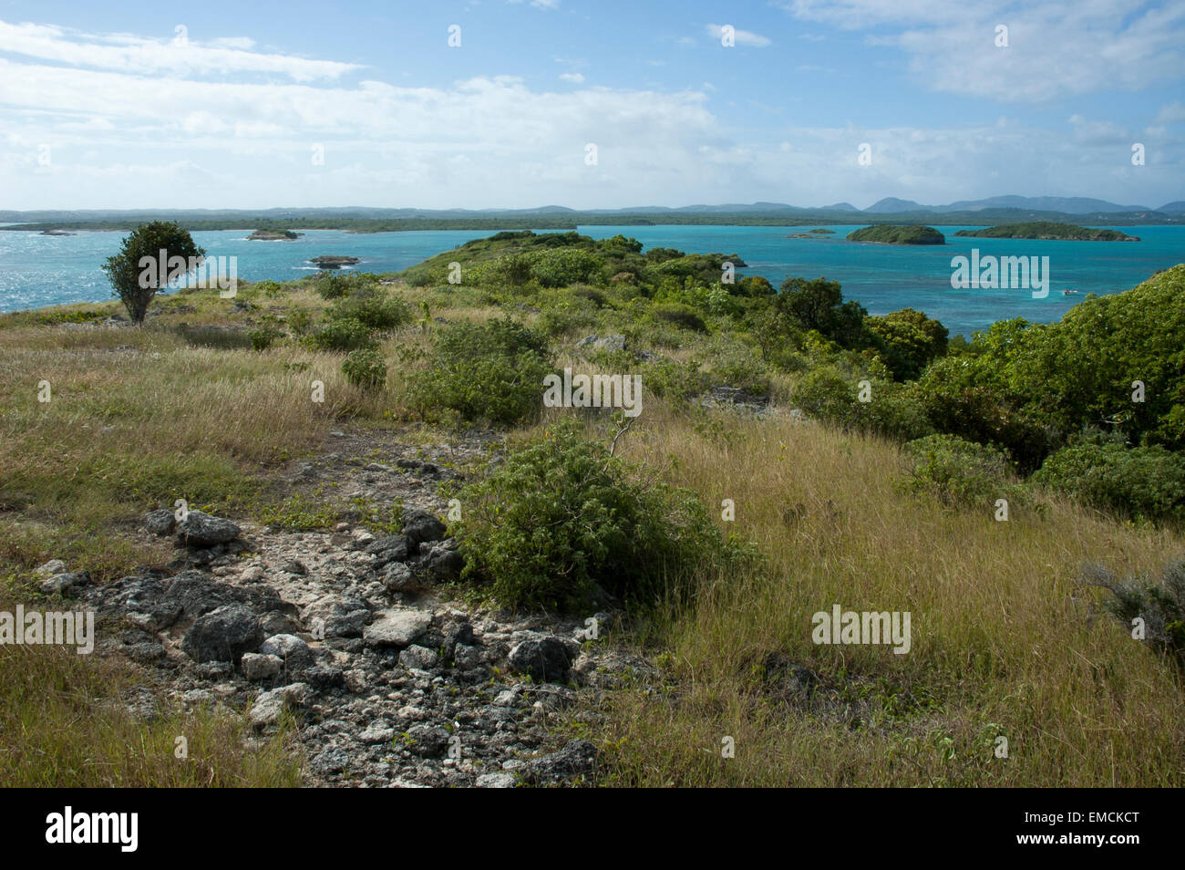 Grande Bird Island è un piccolo isolotto quasi tre chilometri al largo della costa nord-orientale di Antigua nei Caraibi. Foto Stock