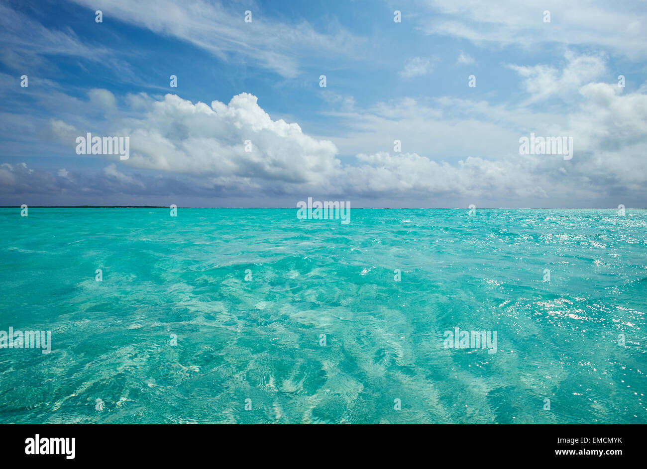 Caraibi, Antille olandesi, Bonaire, seascape a Lac Bay Foto Stock