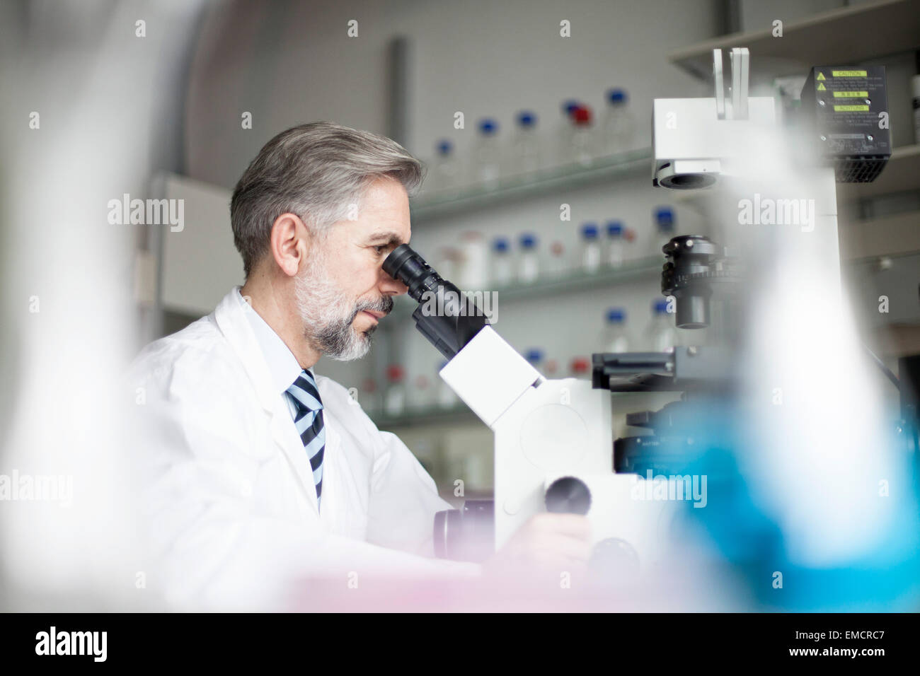 Scienziato in laboratorio guardando attraverso il microscopio Foto Stock