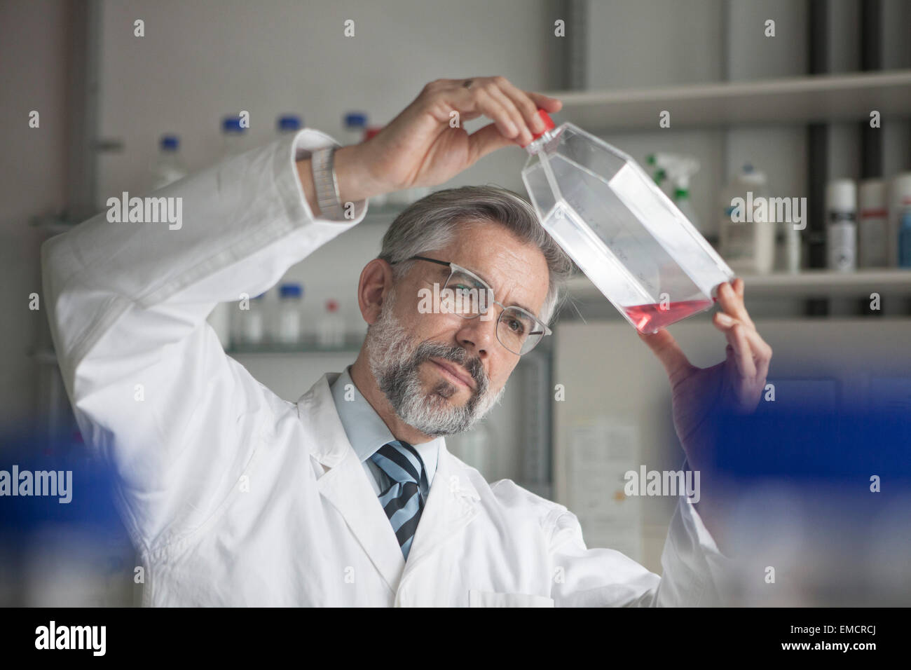 Scienziato liquido di esame in laboratorio Foto Stock