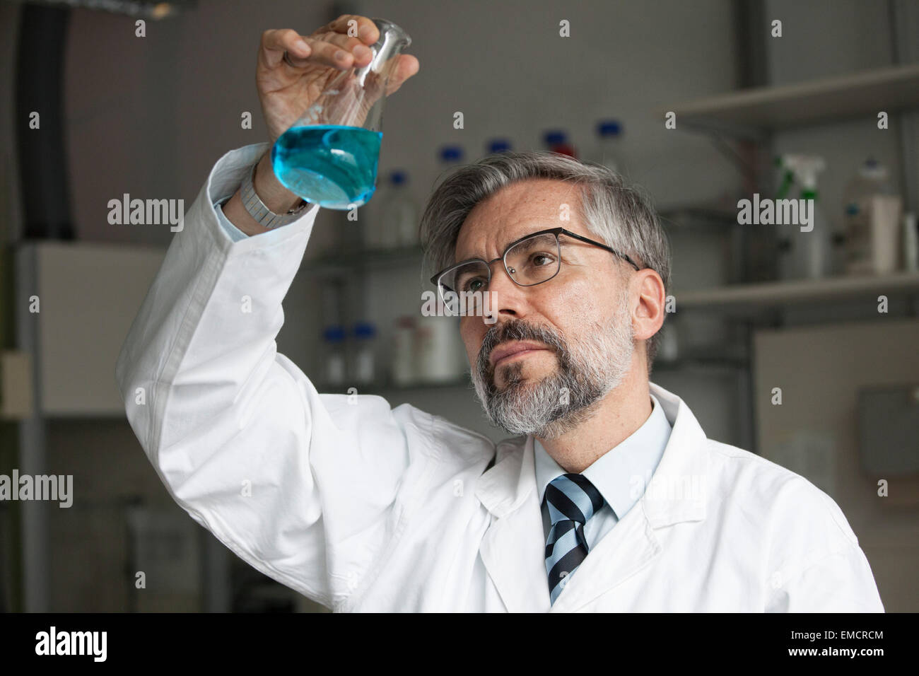 Scienziato in laboratorio esaminando il liquido nel pallone di Erlenmeyer Foto Stock