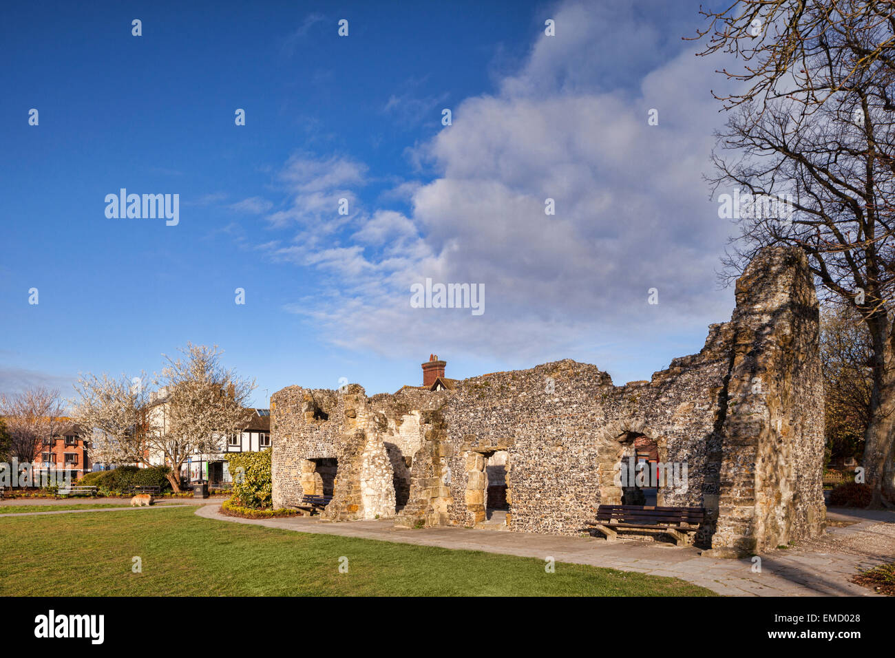 La rovina di Blackfriars Convento domenicano, Arundel, Sussex England, Regno Unito, in una bella mattina di primavera. Foto Stock