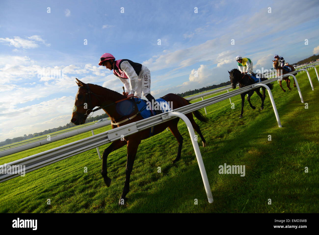 Fantini fanno la loro strada per l'inizio di una gara a York Racecourse, North Yorkshire, Regno Unito. Immagine: Scott Bairstow/Alamy Foto Stock