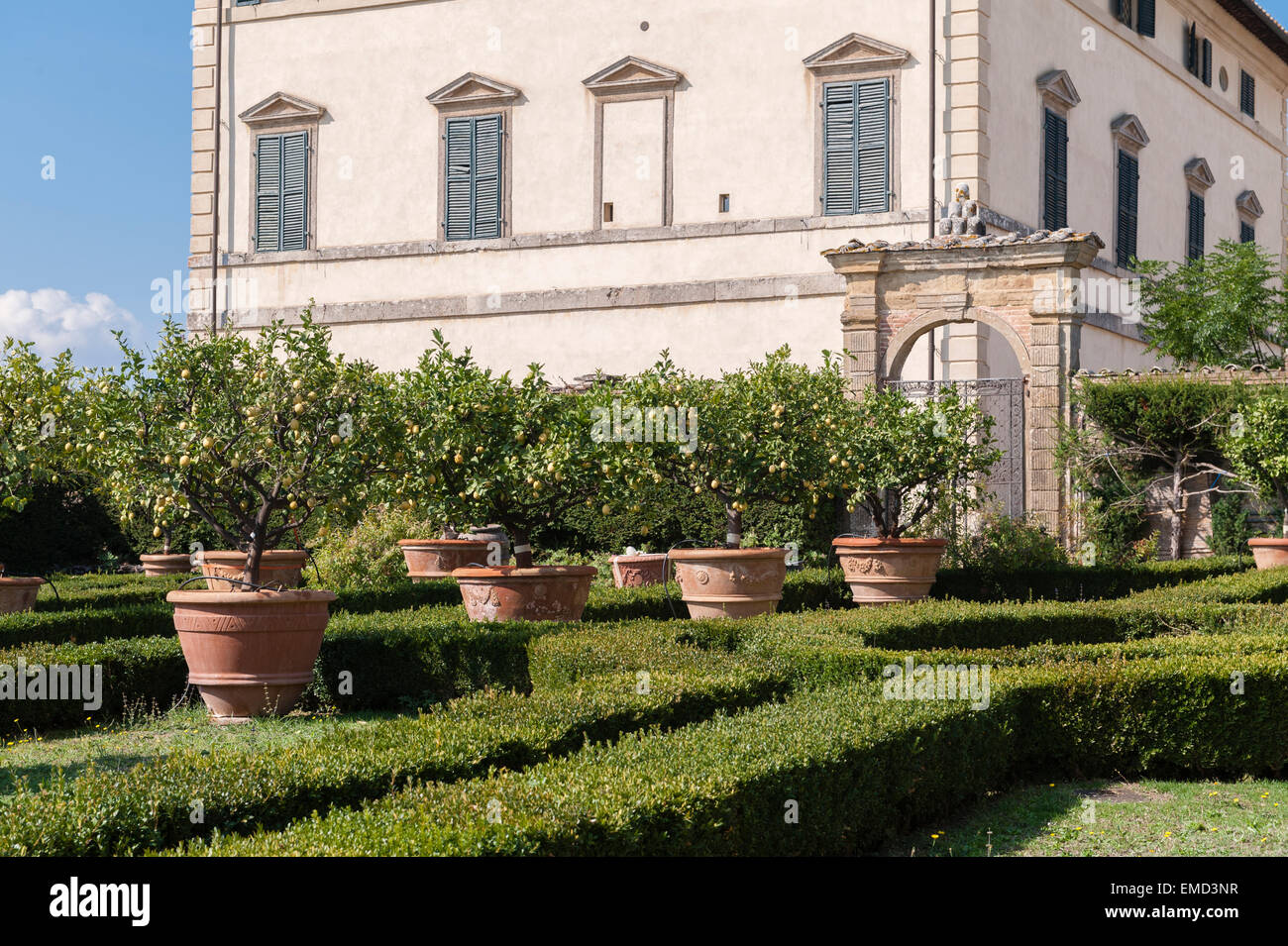 Il giardino all'italiana nella villa rinascimentale 16c di Vicobello, Siena, Italia. con siepi tagliate e vasi di terracotta di limoni Foto Stock