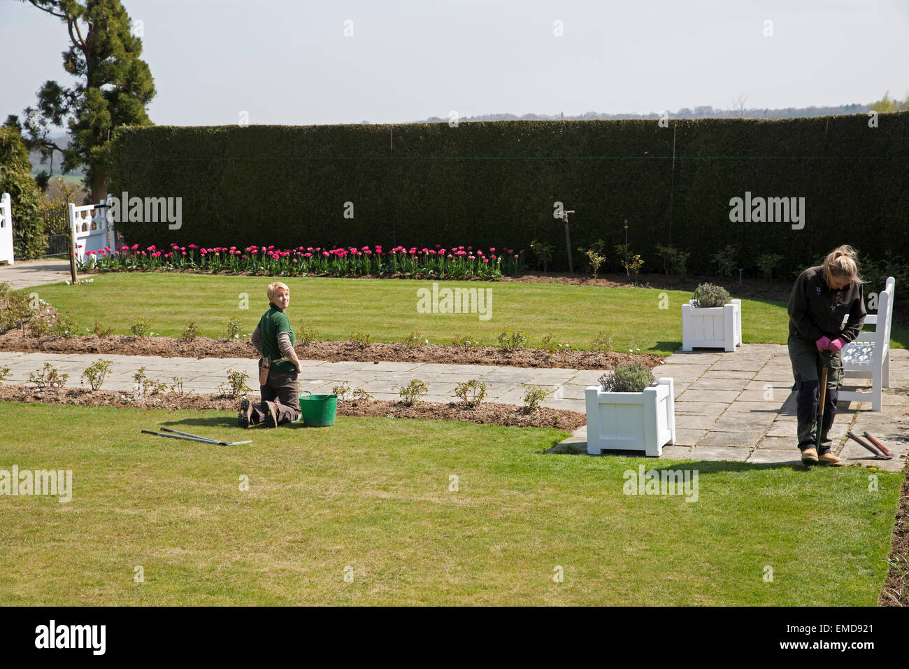 I giardinieri di lavorare sotto il sole a Emmetts Giardini in Kent Foto Stock