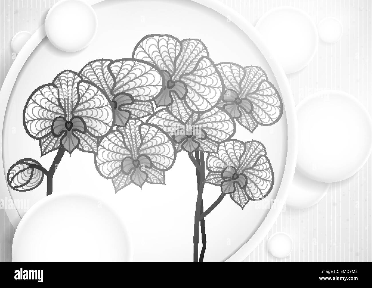 Disegno a mano di fiori di orchidea. Illustrazione Vettoriale