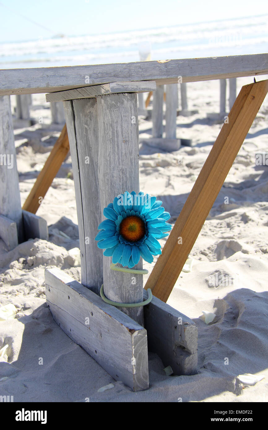 Fake blu fiore di gerbera beach Foto Stock