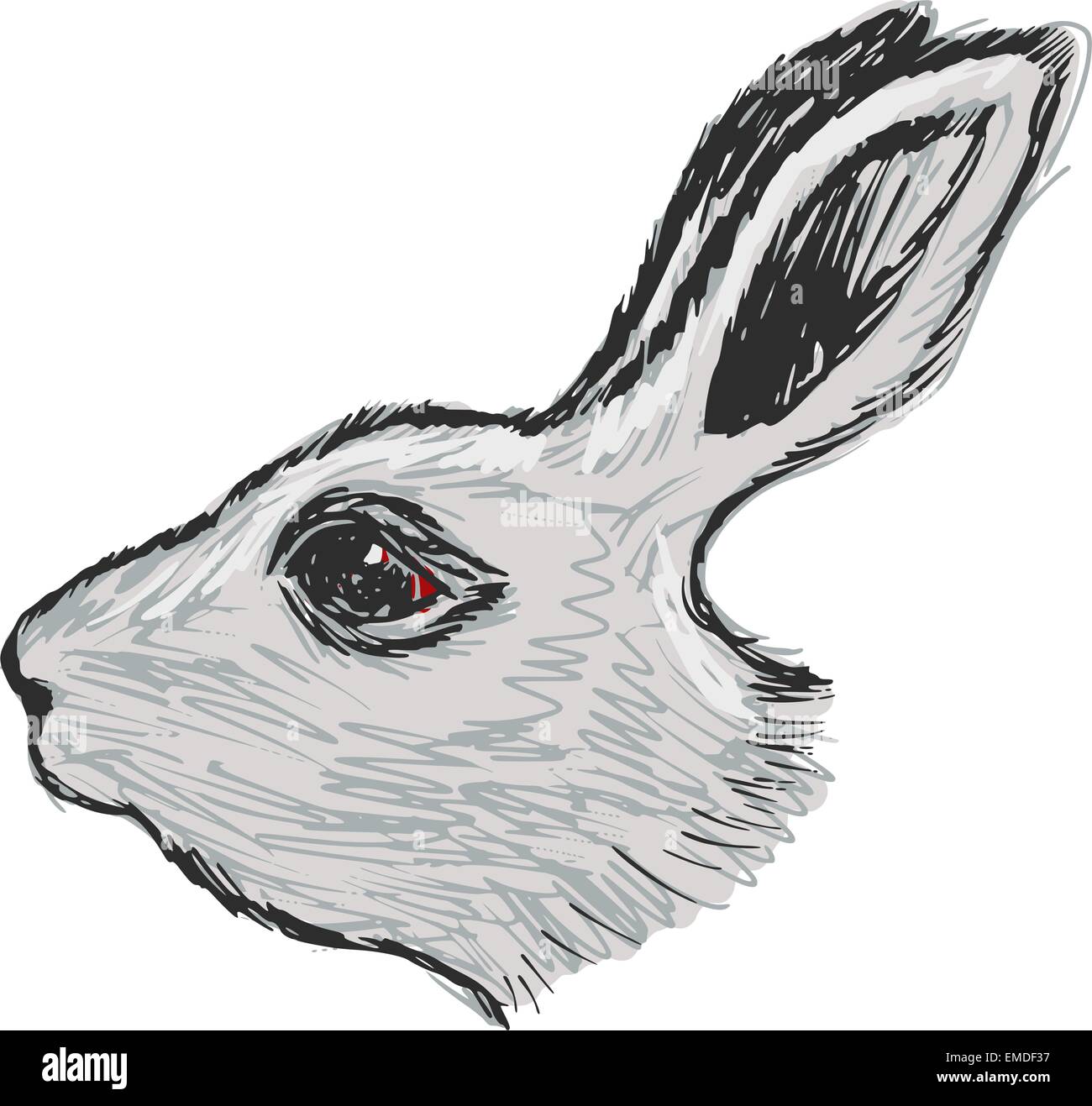 testa di coniglio Illustrazione Vettoriale