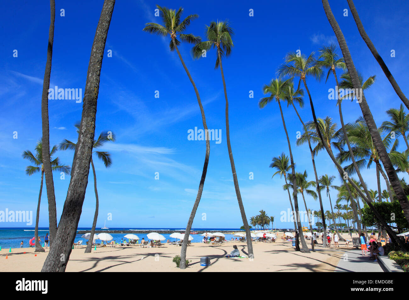 Hawaii, Oahu, Waikiki Beach, palme, persone Foto Stock