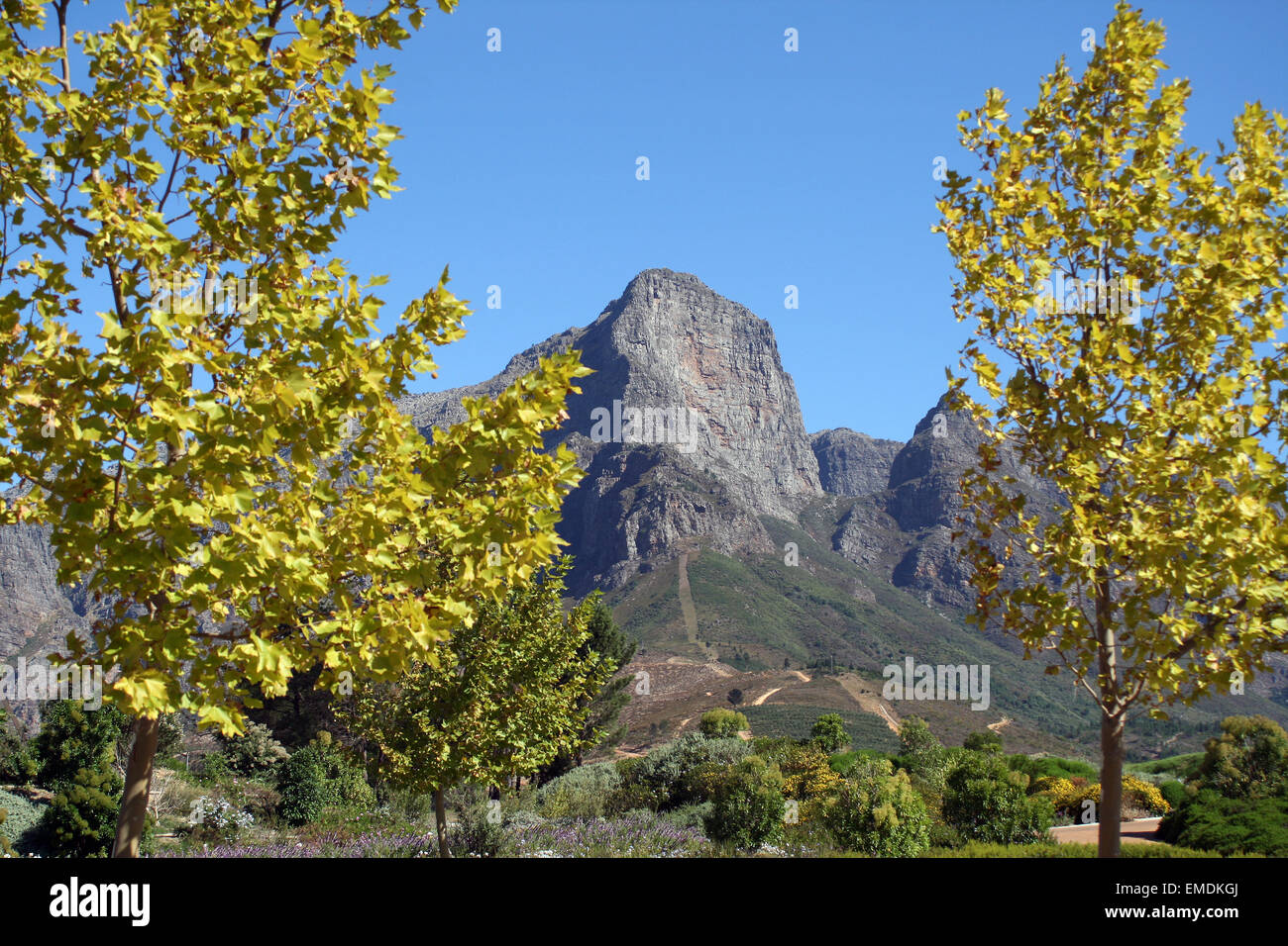 Cape mountain range Sud Africa Foto Stock