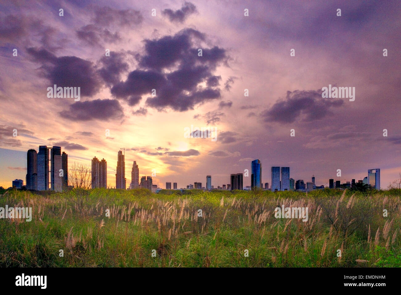 Prenotazione ecologico Park, dal River Plate (Rio de la Plata). "Costanera Sur". Buenos Aires, Argentina, Sud America. Foto Stock