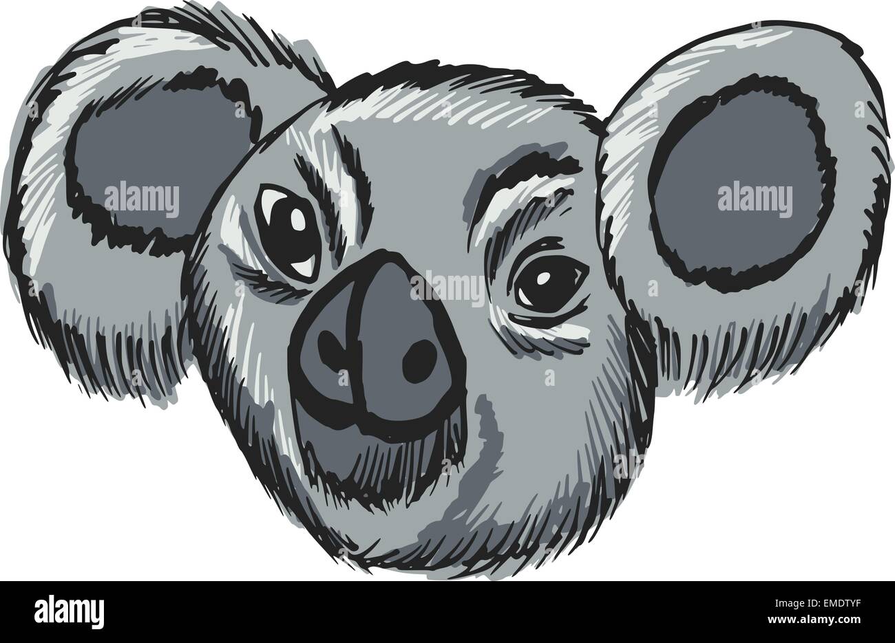 testa di koala Illustrazione Vettoriale