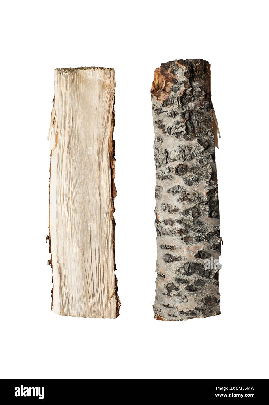 Tagliate in pezzi di legna da ardere isolato in studio Foto Stock