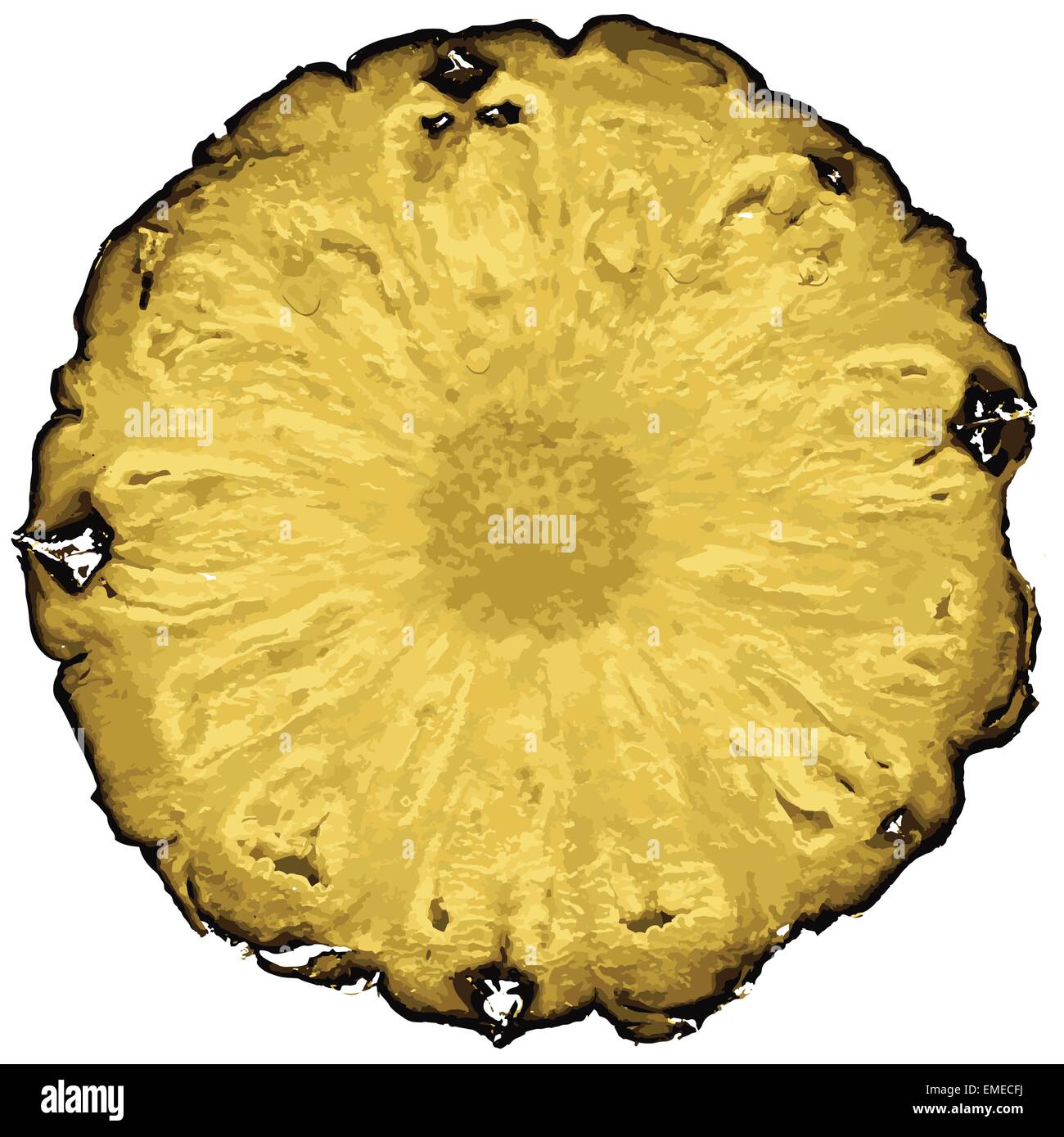 Fetta di ananas Illustrazione Vettoriale