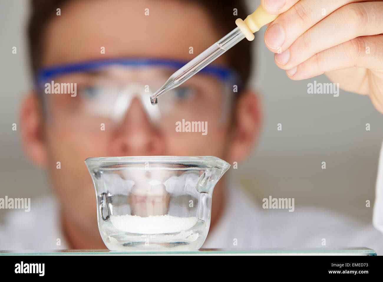 Scienziato di aggiungere liquido alla capsula di vetro da un contagocce Foto Stock