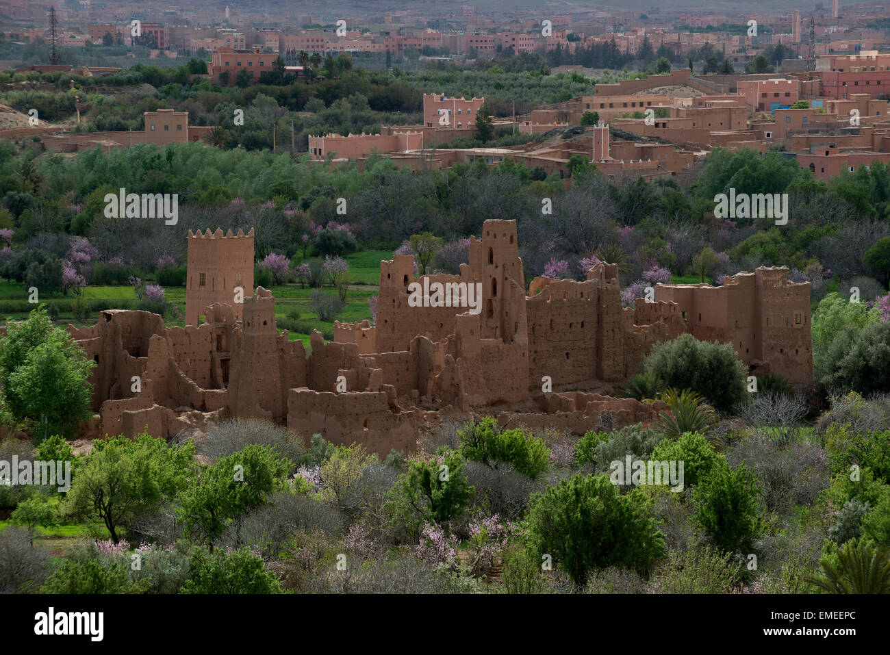 Vecchia Kasbah, fatta di terra impaccata in Kelaa M' Gouna, sul fiume Dades. Alto Atlante, Marocco. Foto Stock