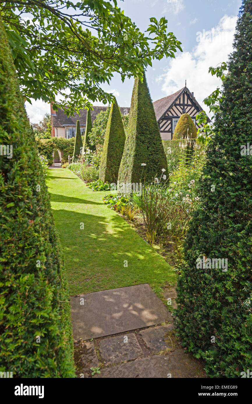 Ritagliato yew guglie del Yew a piedi a Wollerton Old Hall Giardini Giardino Wollerton Market Drayton Shropshire England Regno Unito Foto Stock