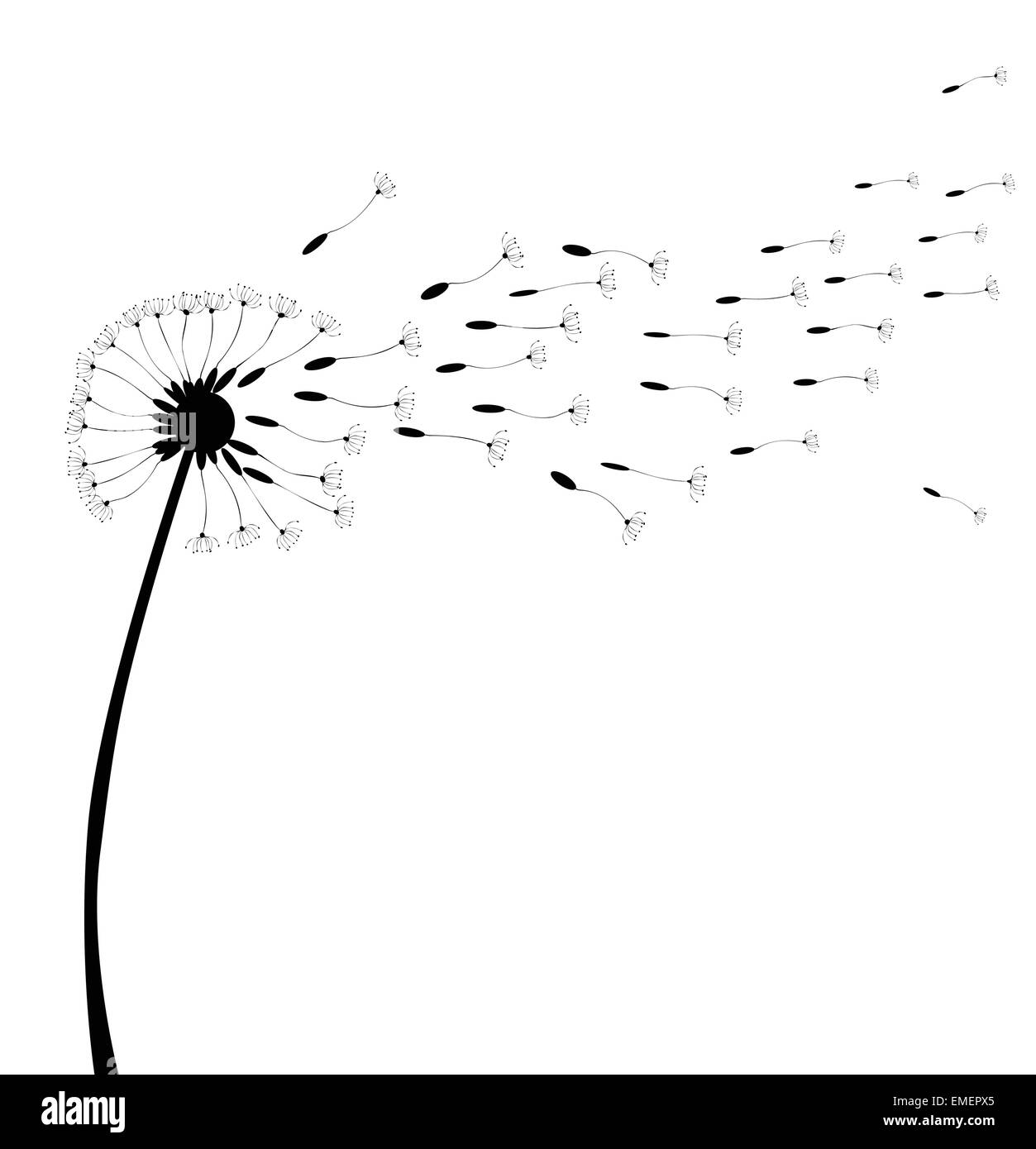 dente di Leone Illustrazione Vettoriale