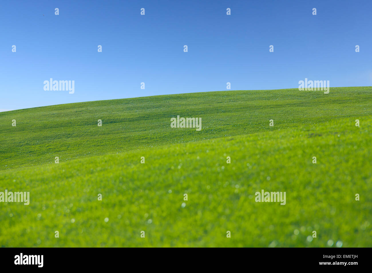 Bella estate paesaggio con erba verde collina e il cielo Foto Stock