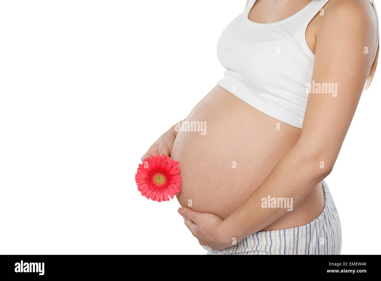 Close up della donna incinta con pink gerbera fiore Foto Stock