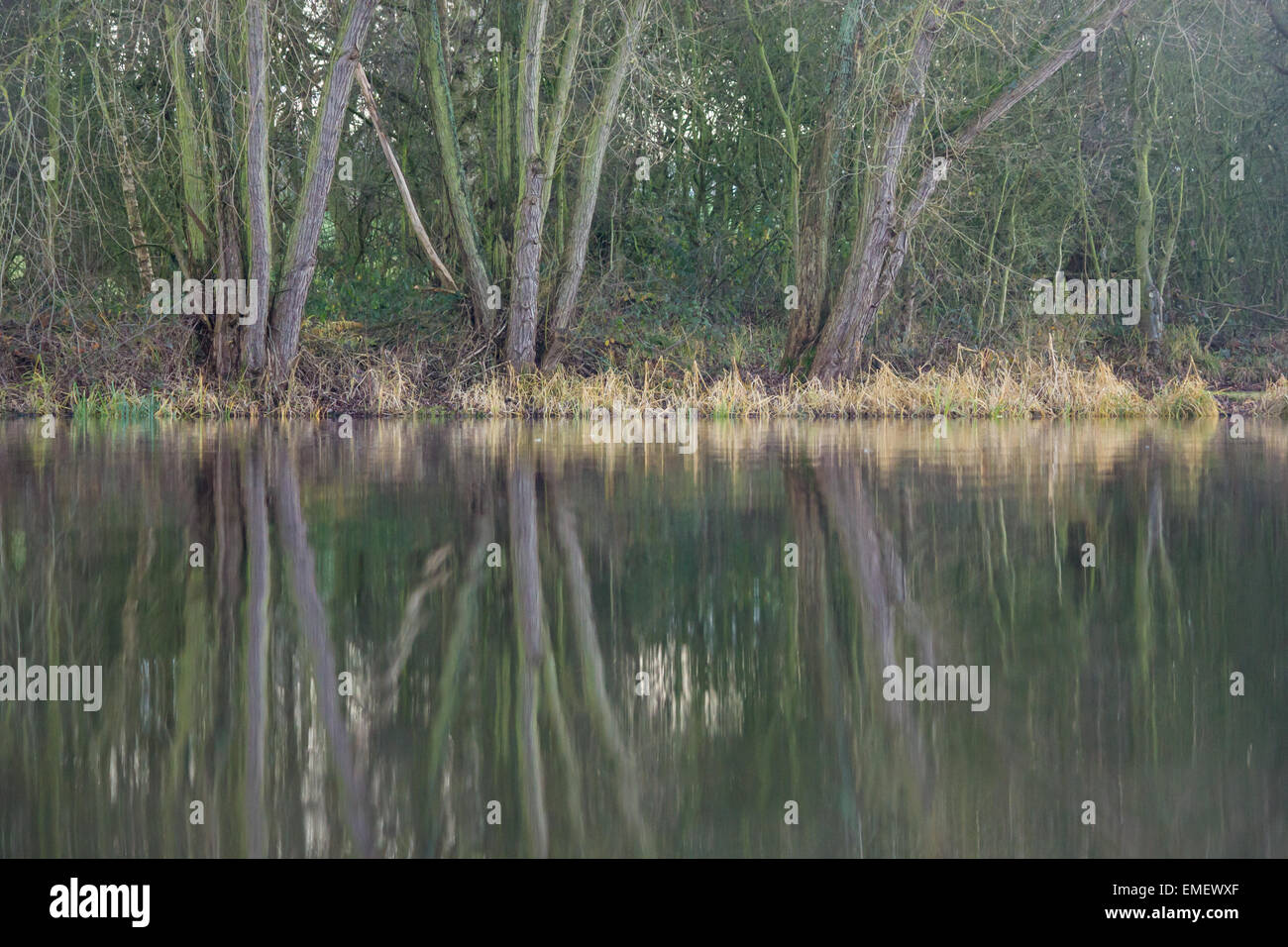 Un bosco wintery è riflessa in un lago, Shuttington, Staffordshire, Dicembre 2014 Foto Stock