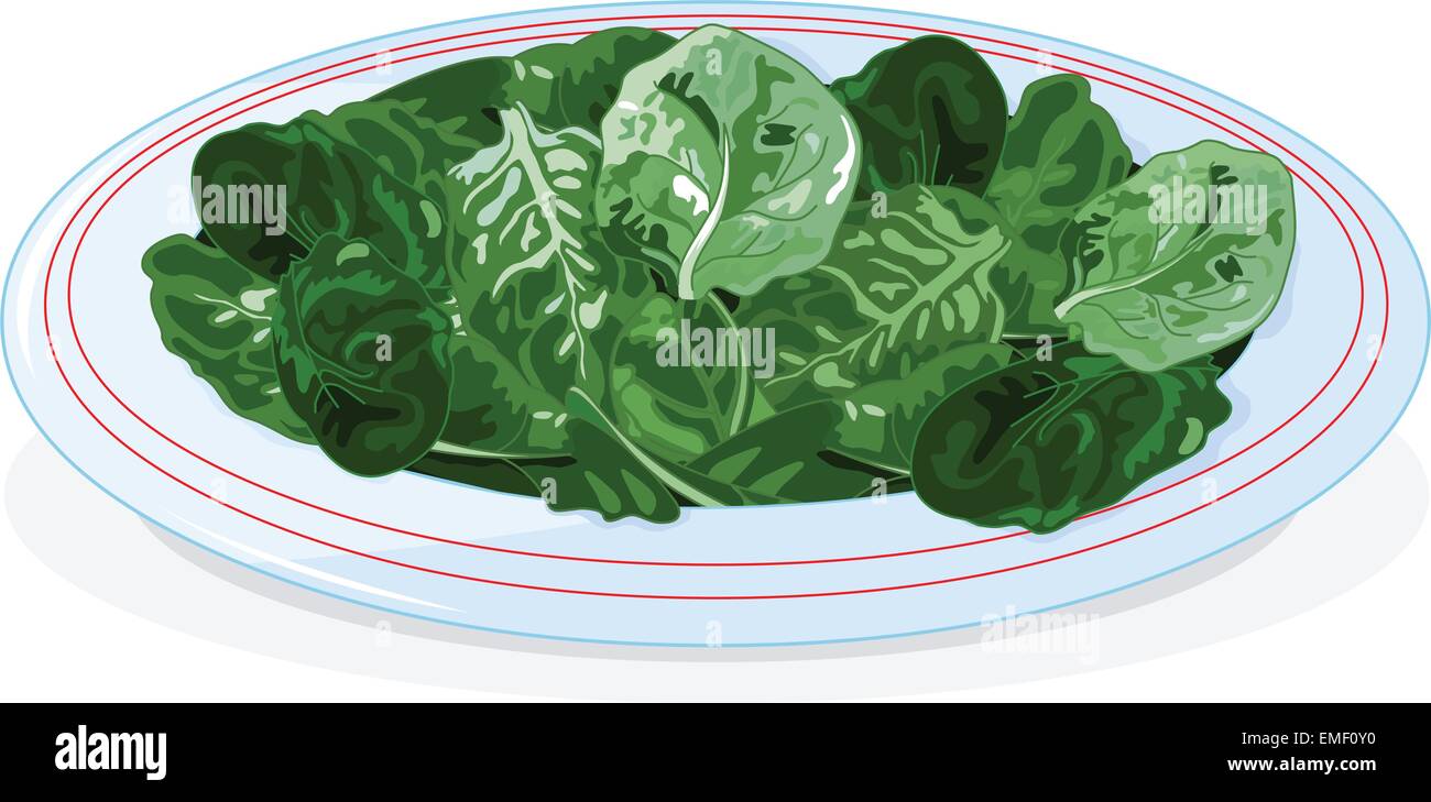 Piastra di spinaci Illustrazione Vettoriale