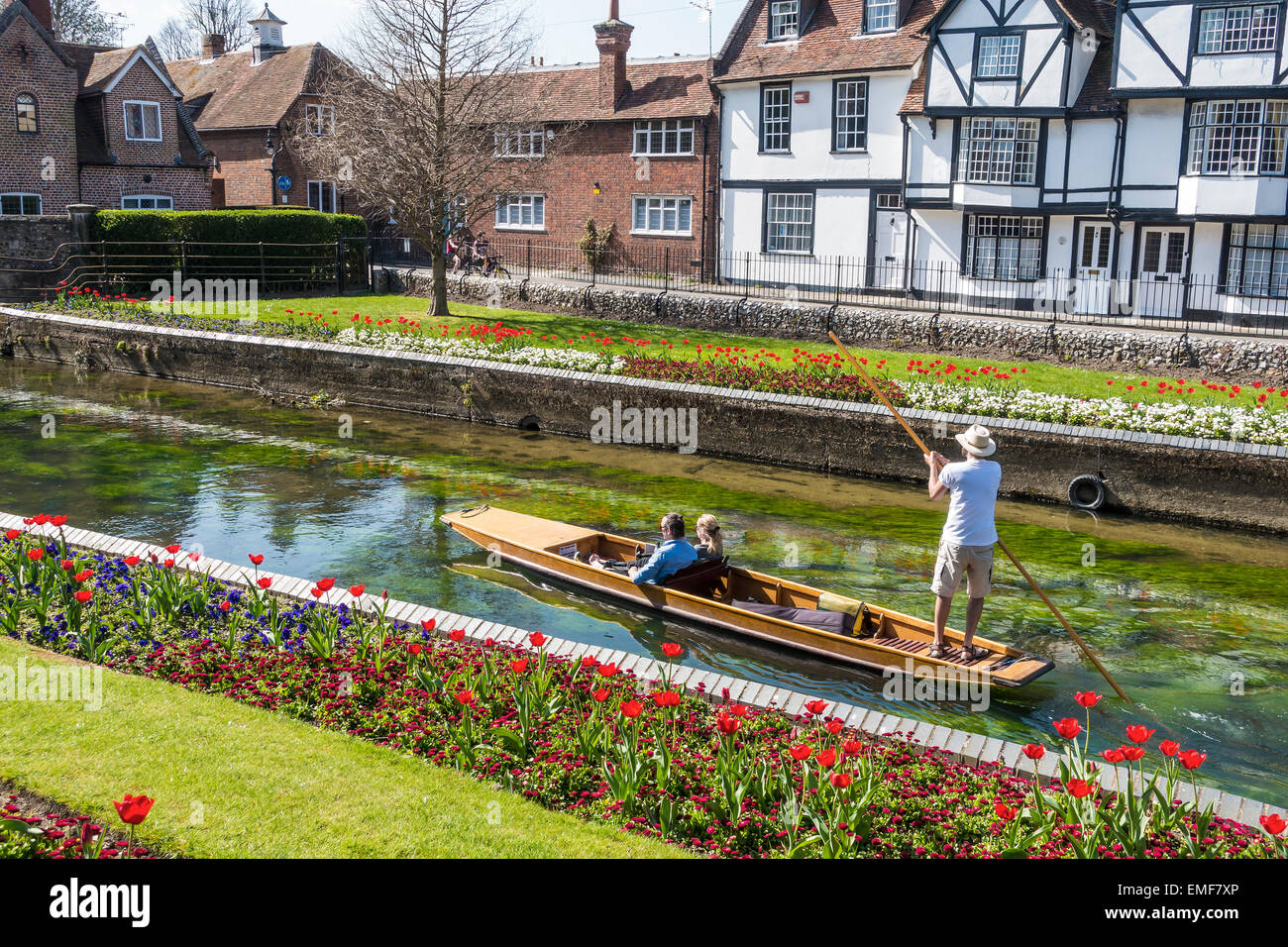 Punting Fiume Stour gita in barca Gita Canterbury Kent REGNO UNITO Foto Stock