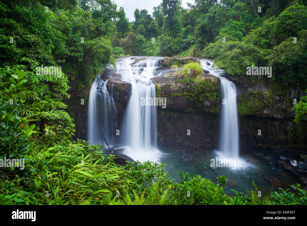 Tchupala Falls - Wooroonooran National Park - Queensland - Australia Foto Stock