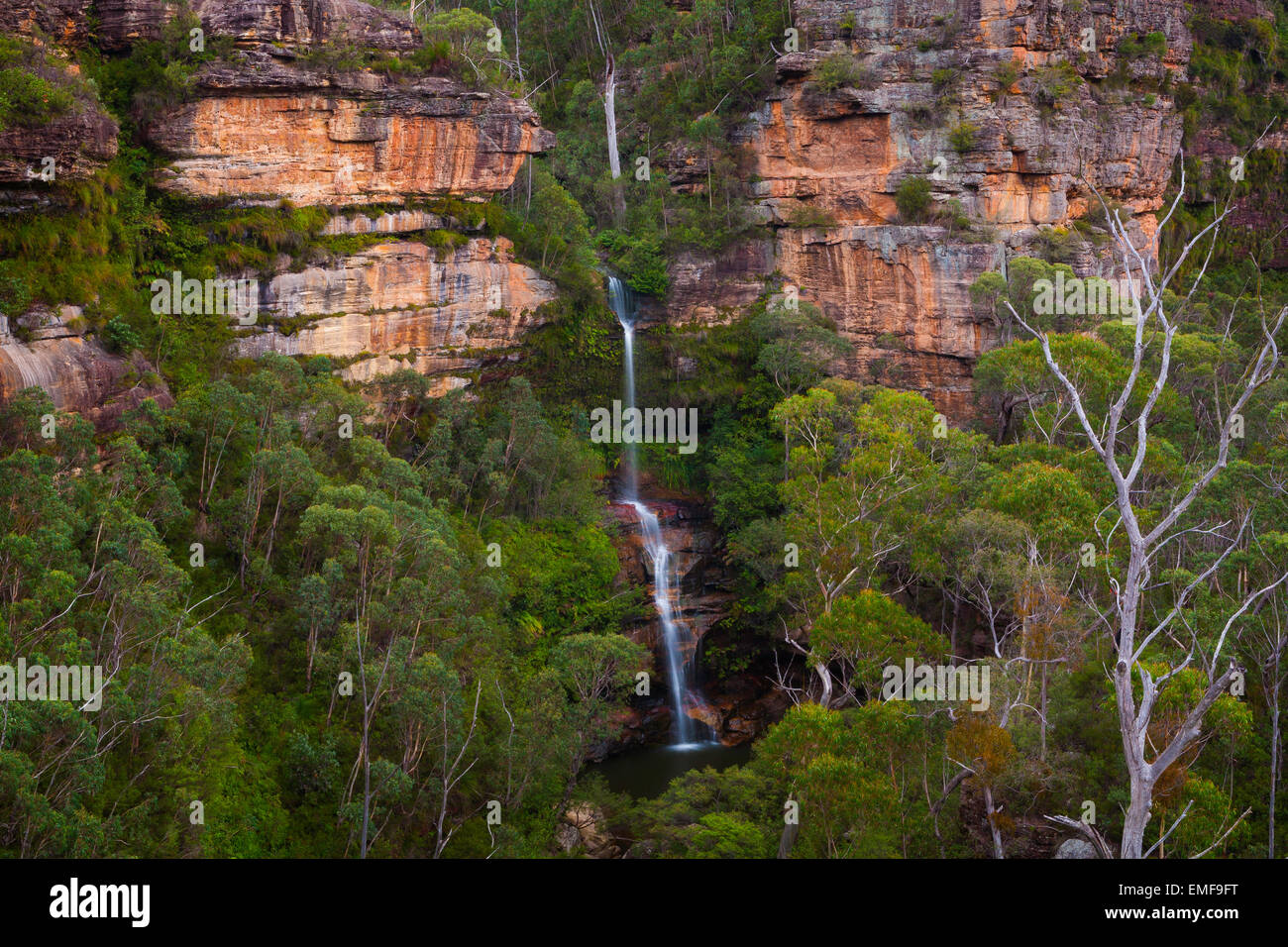 Minni-Ha-Ha Falls - Blue Mountains National Park - NSW - Australia Foto Stock