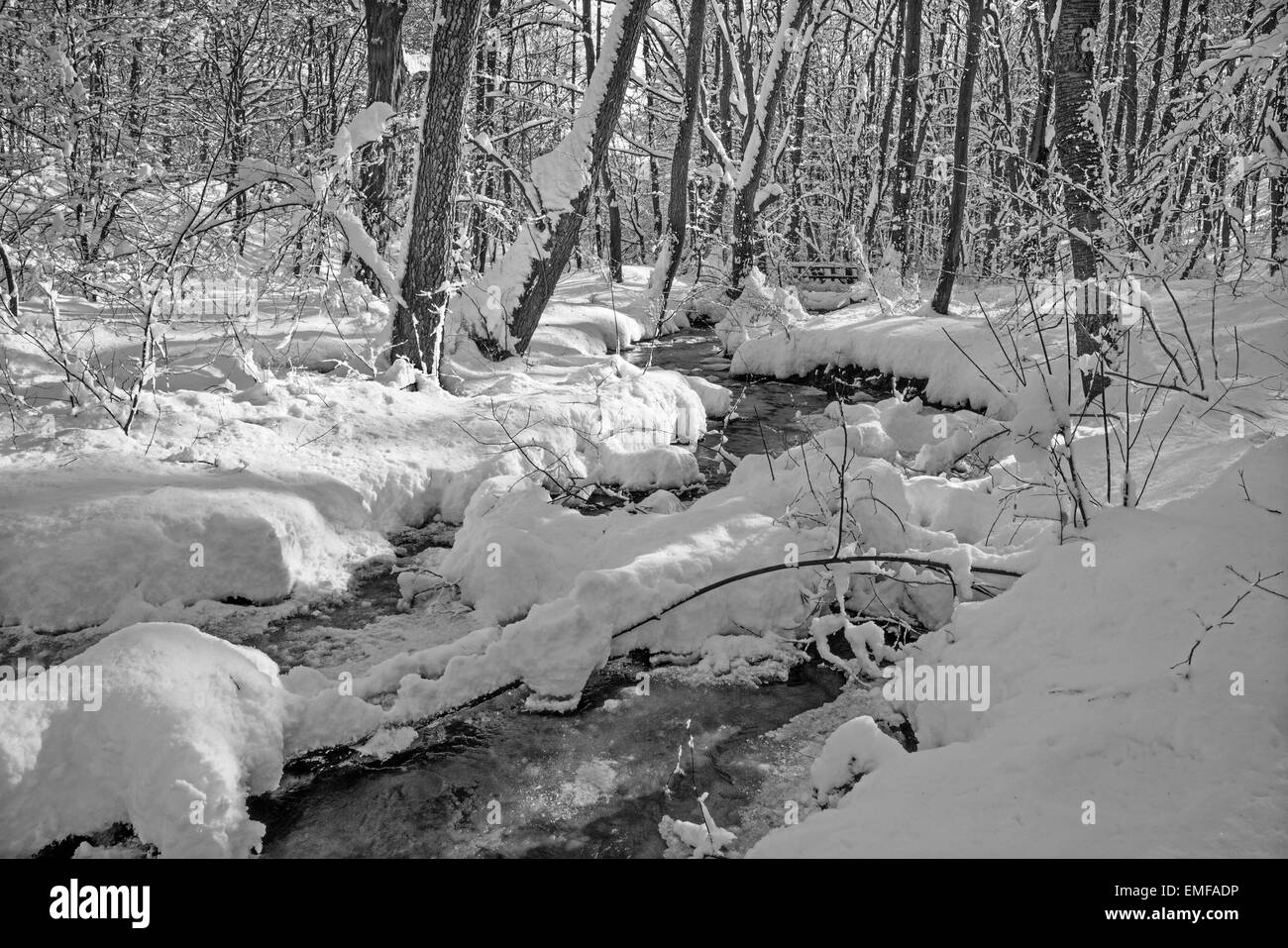 Creek in inverno foresta in Piccoli Carpazi hills - Slovacchia Foto Stock
