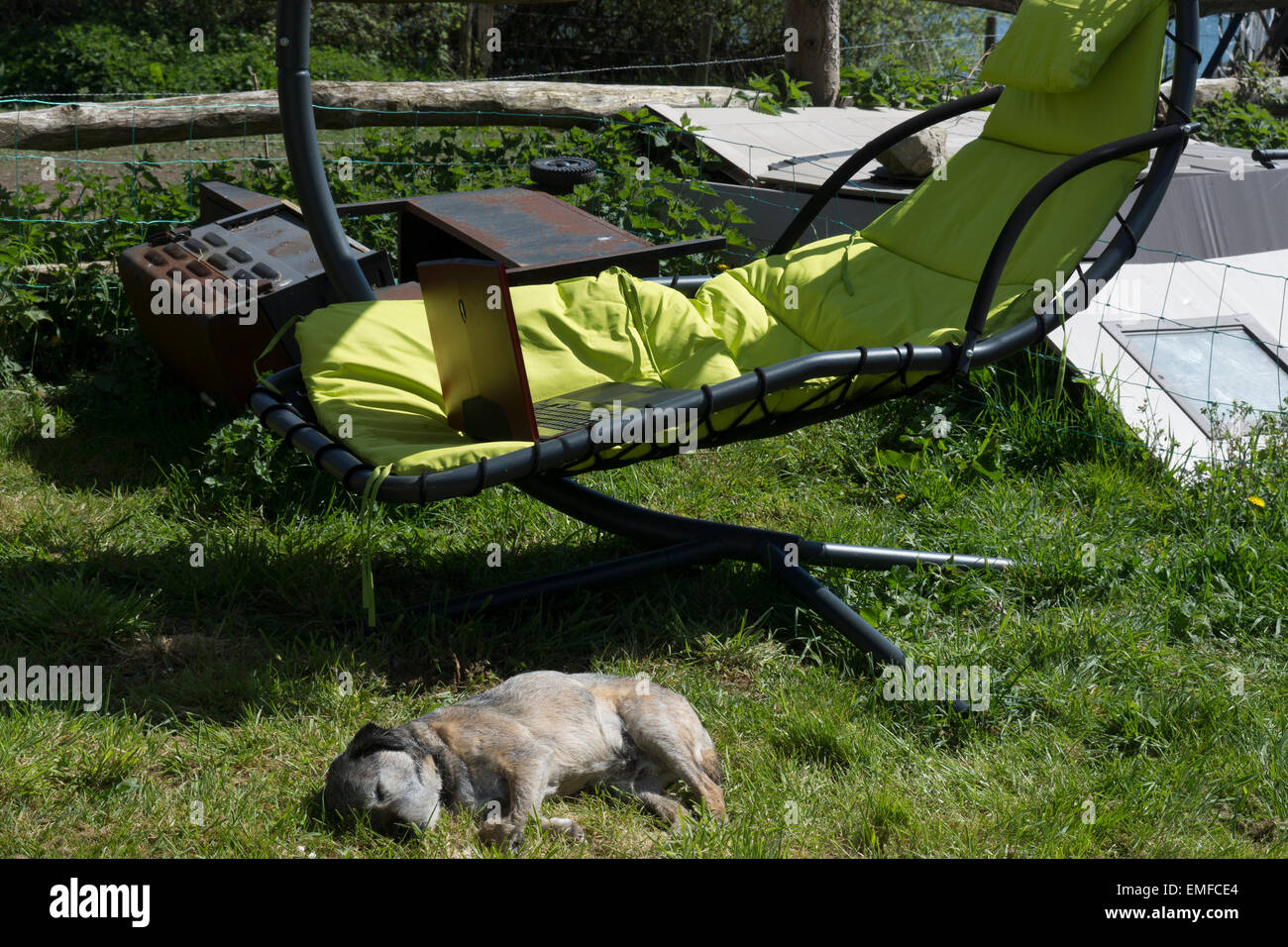 I giovani di sesso maschile, è rilassante fuori in giardino. Fare la  revisione e il gioco, la riproduzione di un video gioco al di fuori su un  laptop di cane di confine