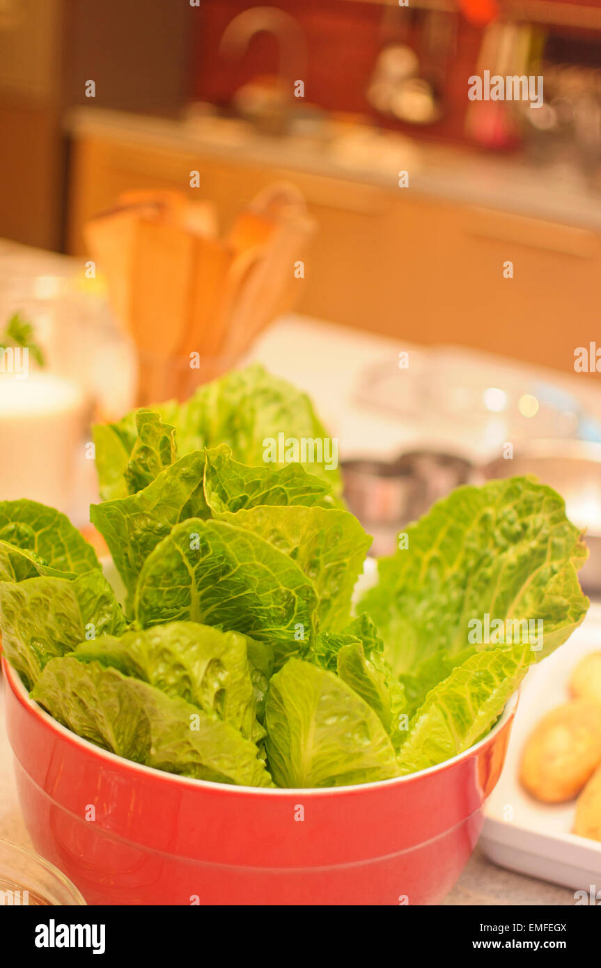 Lattuga in una pentola di rosso Foto Stock