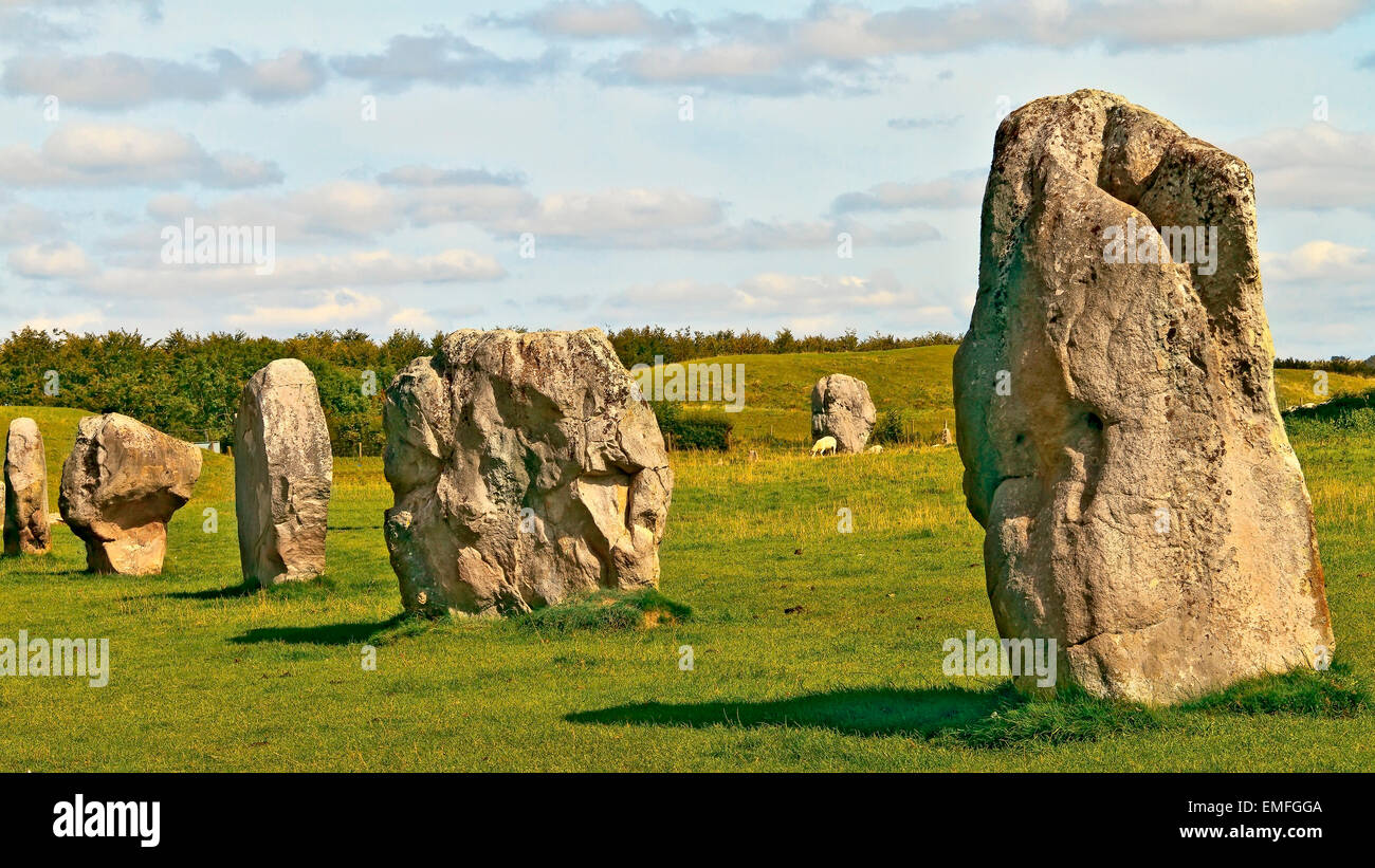 Parte del circolo di pietra di Avebury WILTSHIRE REGNO UNITO Foto Stock