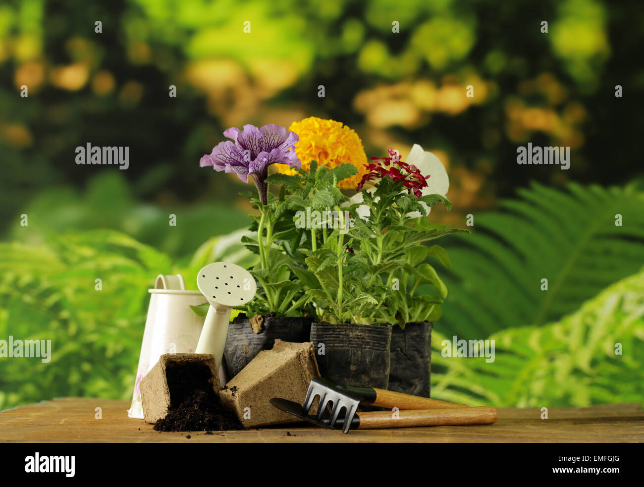 Fiori da Giardino, strumenti (rastrello, pala, annaffiatoio) naturale su sfondo verde Foto Stock
