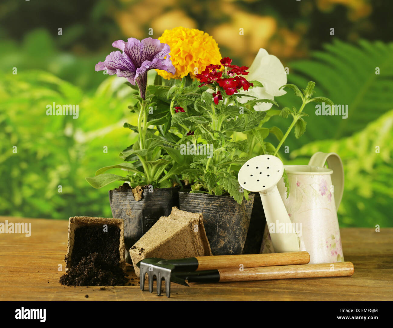 Fiori da Giardino, strumenti (rastrello, pala, annaffiatoio) naturale su sfondo verde Foto Stock