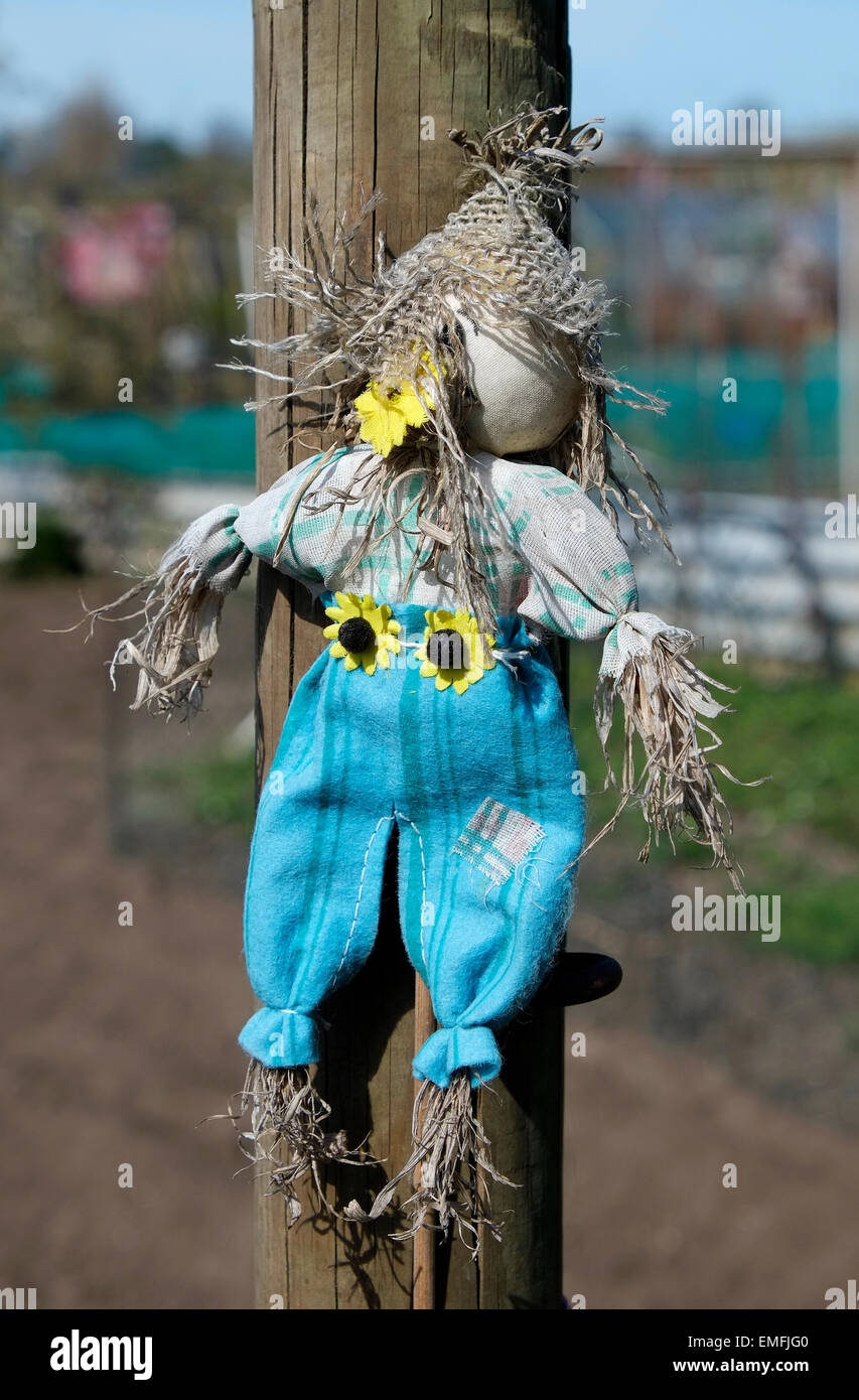 Lo Spaventapasseri doll fissato al palo di legno sul riparto garden Foto Stock