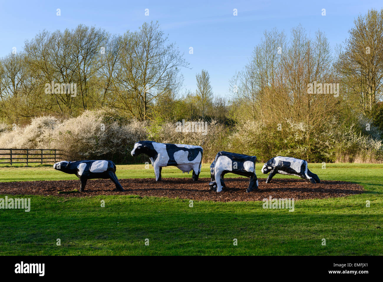 Le mucche di calcestruzzo Milton Keynes Foto Stock
