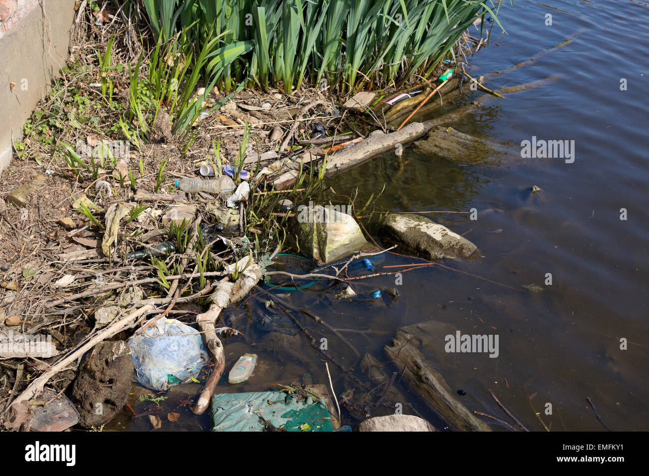 I Rifiuti nel fiume Tamigi presso la riva Fiume Tamigi hampton middlesex in Inghilterra Foto Stock