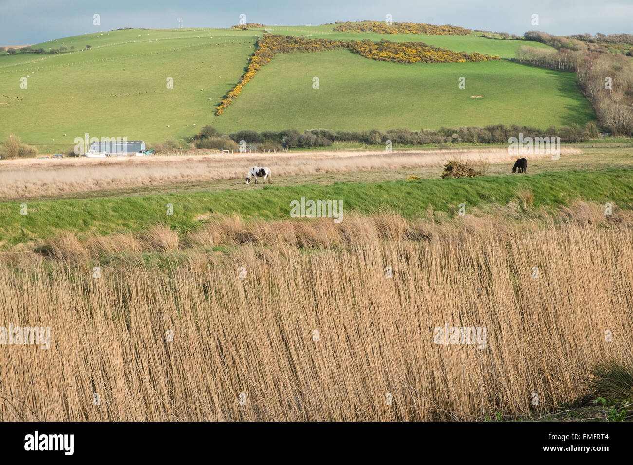 Borth torbiera Cors Fochno con Borth, Ceredigion,il Galles Centrale. Popolari Welsh/inglese BBC la criminalità serie tv entroterra girati qui. Foto Stock