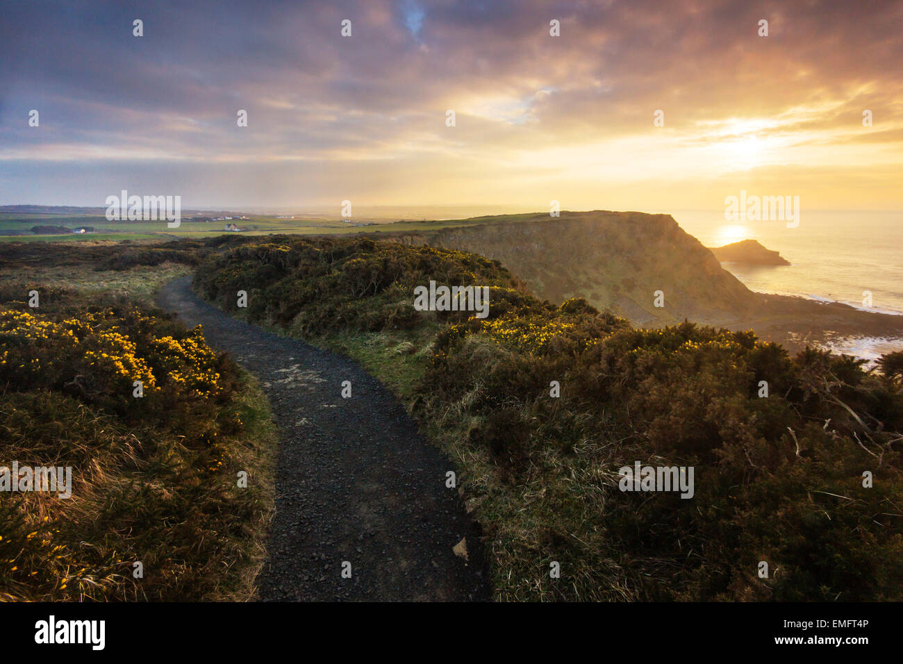 In cima alla scogliera percorso oltre il Selciato del gigante al tramonto, Co. Antrim, Irlanda del Nord Foto Stock