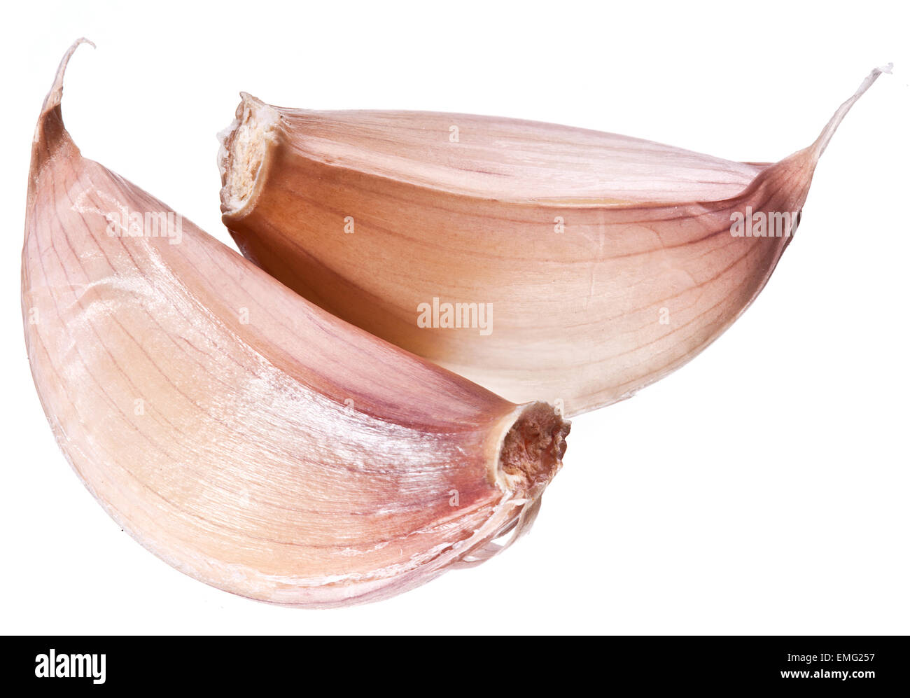 Spicchi di aglio isolato su uno sfondo bianco. Foto Stock