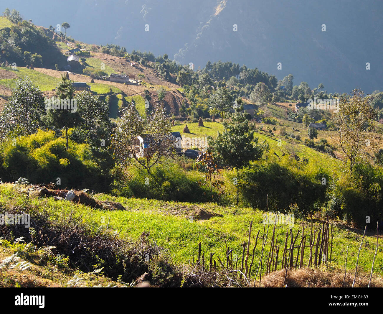 Montuosa fertili campi agricoltura Lukla Nepal Asia Foto Stock
