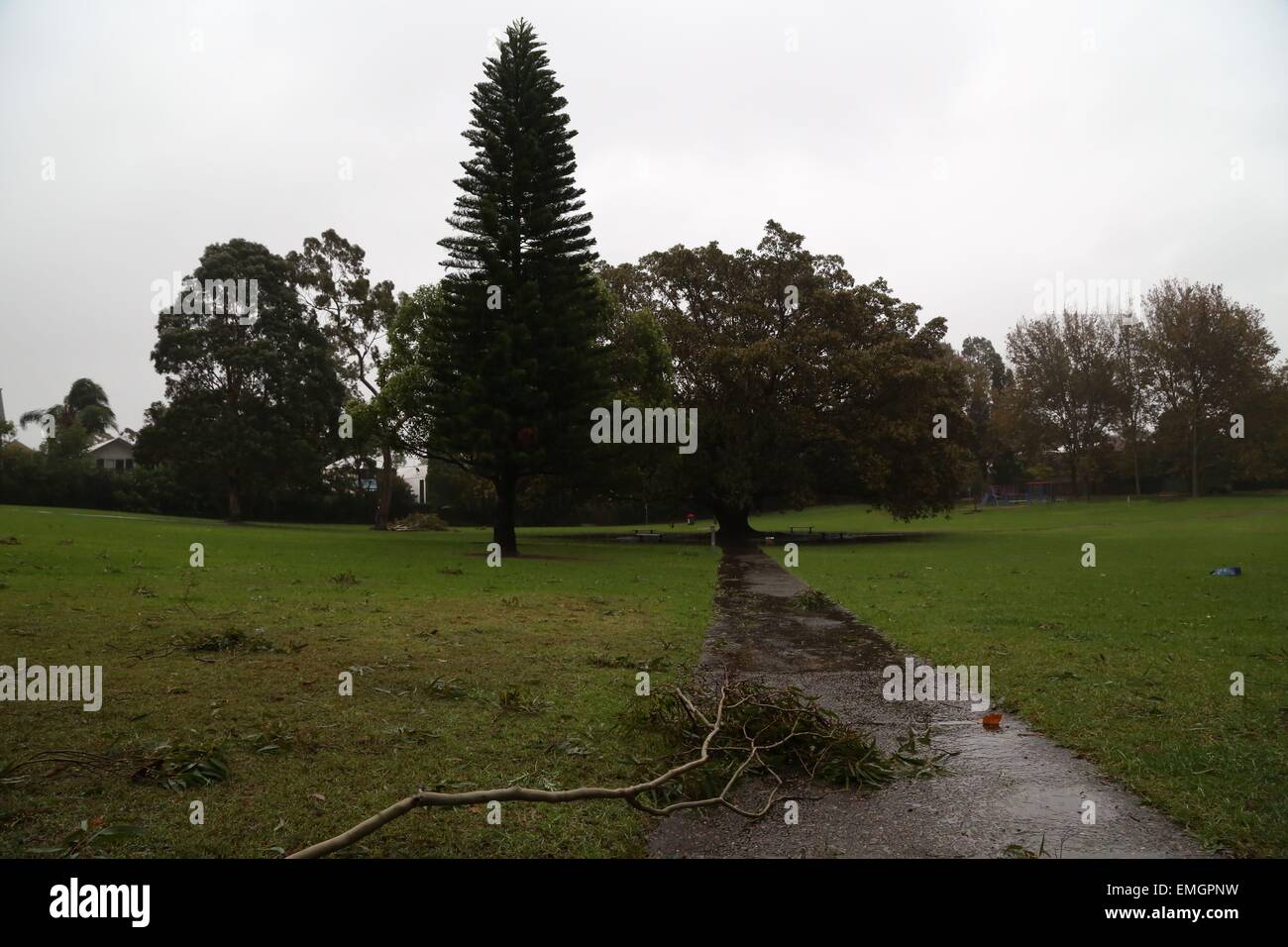 Sydney, Australia. Il 21 aprile 2015. Un parco in Leichhardt a Sydney's inner-west durante le tempeste. Credito: Richard Milnes/Alamy Live News Foto Stock