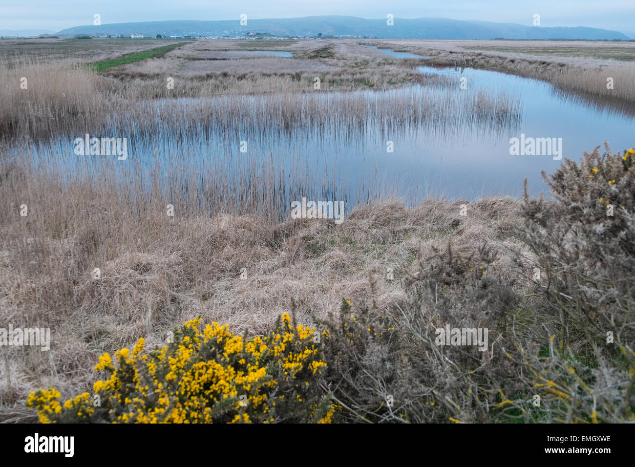 Borth torbiera Cors Fochno con Borth, Ceredigion,il Galles Centrale. Popolari Welsh/inglese BBC la criminalità serie tv entroterra girati qui. Foto Stock